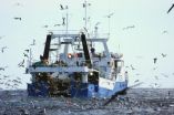 $200 bird scaring line for trawlers can cut albatross deaths by over 90 percent 2