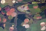 	More people means more plant growth, NASA data shows
