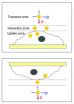 Inverting a standard experiment sometimes produces different results