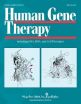 New gene therapy strategy boosts levels of deficient protein in Friedreich's ataxia