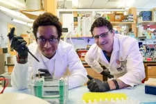 $1.8M NIH grant will help researchers follow a virus on its path to the nucleus