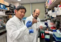$2.7 million grant to explore hypoxia’s impact on blood stem cells