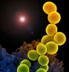 'Antibiogram' use in nursing facilities could help improve antibiotic use, effectiveness