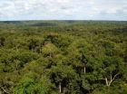 'Archeologists of the air' isolate pristine aerosol particles in the Amazon