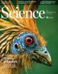 'Big bang' of bird evolution mapped by international research team