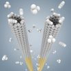'Cloning' could make structurally pure nanotubes for nanoelectronics