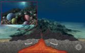 'Dark Energy': Life beneath the seafloor discussed at upcoming American Geophysical Union conference