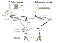 'Falling insect' season length impacts river ecosystems