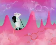 'Feel good' brain messenger can be willfully controlled, new study reveals