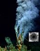'Fool's Gold' from the deep is fertilizer for ocean life