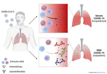 'Good autoantibodies' could help against long Covid