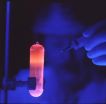 'How well did you sequence that genome?' NIST, consortium partners have answer
