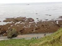 'Island of Rats' recovers