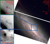 'Oddball supernova' appears strangely cool before exploding