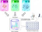 'Pick 'n' Mix' chemistry to grow cultures of bioactive molecules