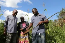 'Postcode lottery' of nutrient intake from crops revealed in new study
