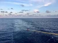 'Slow slip' earthquakes' hidden mechanics revealed