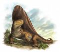 'Steak-knife' teeth reveal ecology of oldest land predators
