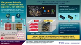 'Wrapping' anodes in 3D carbon nanosheets: The next big thing in li-ion battery technology