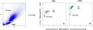 <i>Aging-US</i>: Hyperbaric oxygen therapy impact on telomere length & immunosenescence