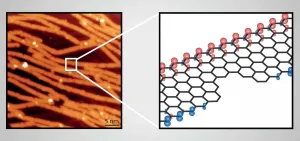 'Bite' defects revealed in bottom-up graphene nanoribbons