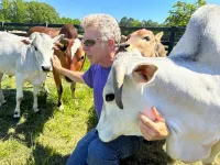 'Cowpuppy' takes readers into secret world of cows