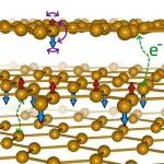 Magnetic graphene forms a new kind of magnetism