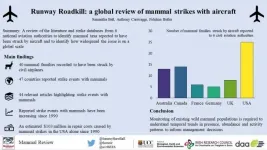 Runway Roadkill rapidly increasing at airports across the world, UCC study finds