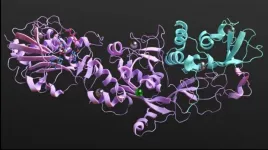 Silencing protein to weaken COVID-19