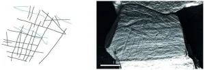 15,800-year-old engraved plaquettes from modern-day Germany depict fishing techniques, including the use of nets, not previously known in the Upper Paleolithic