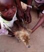 160 people die of rabies every day, says major new study