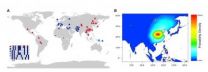 2 Cell studies reveal genetic variation driving human evolution