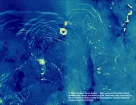 2022 Tongan volcanic explosion was largest natural explosion in over a century, new study finds 2