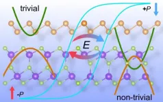 2D compound shows unique versatility