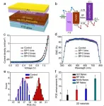 2D materials for conducting hole currents from grain boundaries in perovskite solar cells