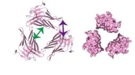 3D atomic details of next-generation alloys revealed for first time 2