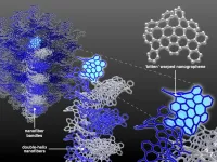 3D design leads to first stable and strong self-assembling 1D nanographene wires