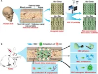 3D-printed flat-bone-mimetic bioceramic scaffolds for cranial restoration