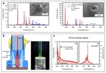 3D printed micro-optics for quantum technology