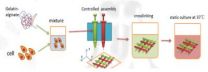 3D printing cancer tumors