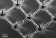 3D-printing perovskites on graphene makes next-gen X-ray detectors