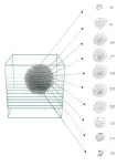 3D scans of giant hailstones reveal surprising discoveries that could help predict future storms 2