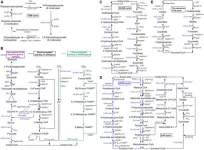 3G microbial cell factories: achieving sustainable goals with engineered microorganisms