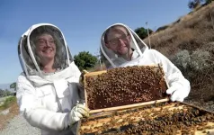 A $1.2 million Rosetta stone for honeybees