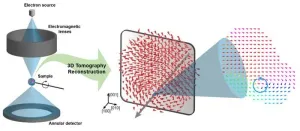 A 20-year-old puzzle solved: KAIST research team reveals the three-dimensional vortex of zero-dimensional ferroelectrics