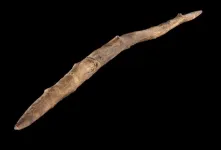 A 300,000 year-old double-pointed wooden stick was produced by Middle Pleistocene humans using sophisticated woodworking techniques and was likely used for throwing during hunts