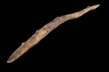 A 300,000 year-old double-pointed wooden stick was produced by Middle Pleistocene humans using sophisticated woodworking techniques and was likely used for throwing during hunts 2