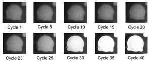 A 5-minute PCR, faster than self-diagnosis kits 2