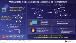 A bit too much: reducing the bit width of Ising models for quantum annealing