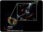 A black hole under the gravitational lens